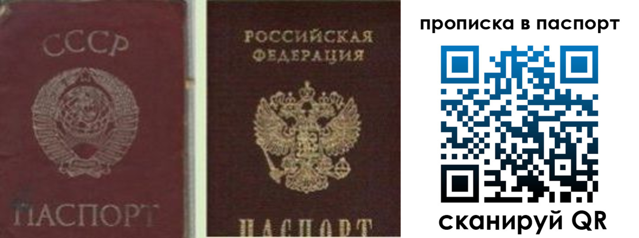 временная регистрация недорого в Ершове